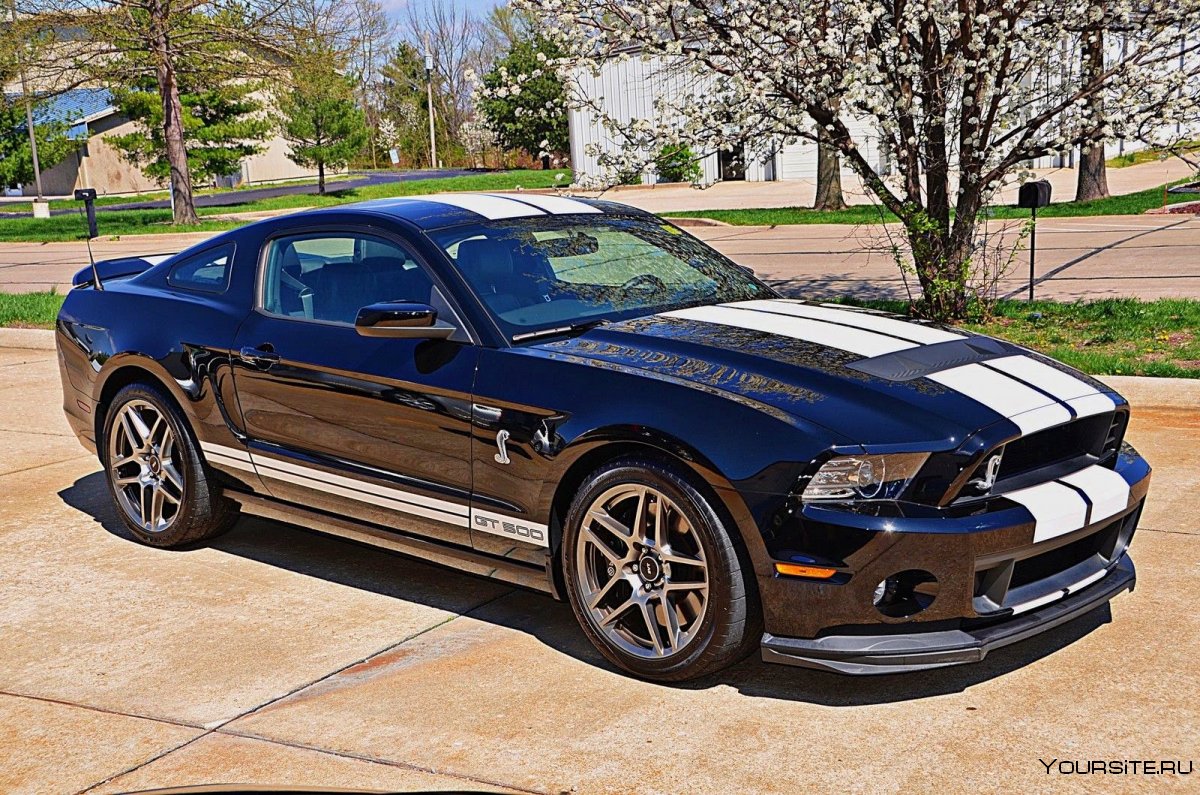 Ford Mustang Shelby gt500 2013