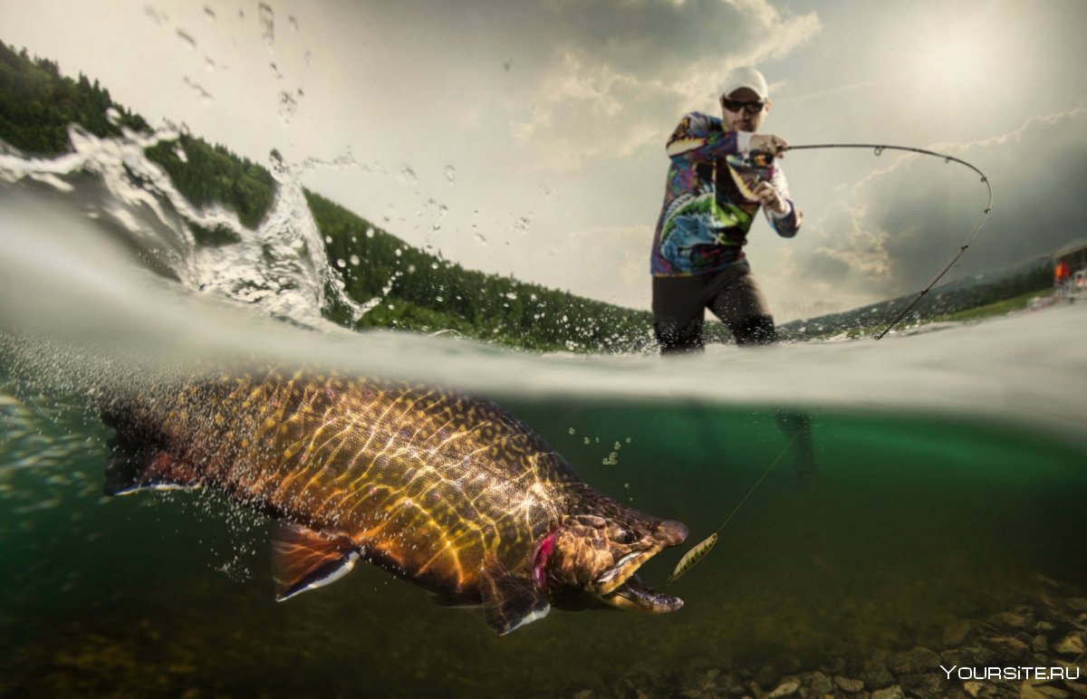 Рыбалка реклама баннер