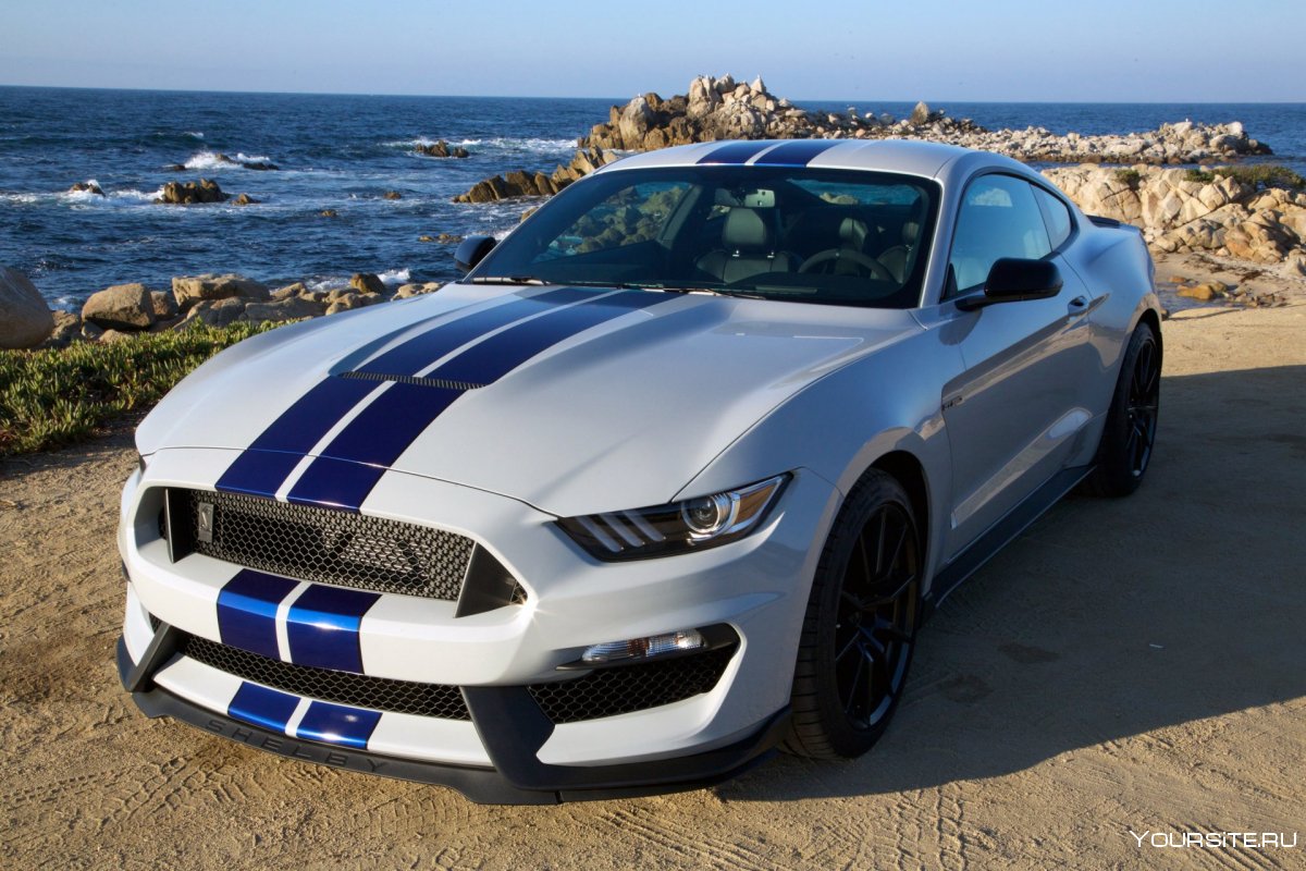 Mustang Shelby gt500