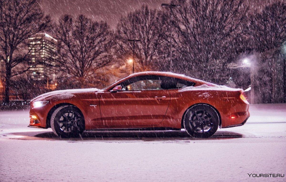 Форд Мустанг зимой