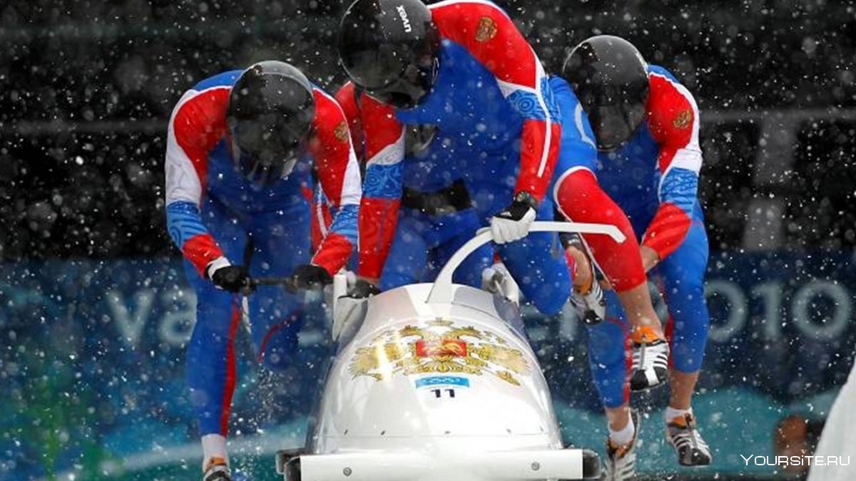 Командные зимние виды спорта