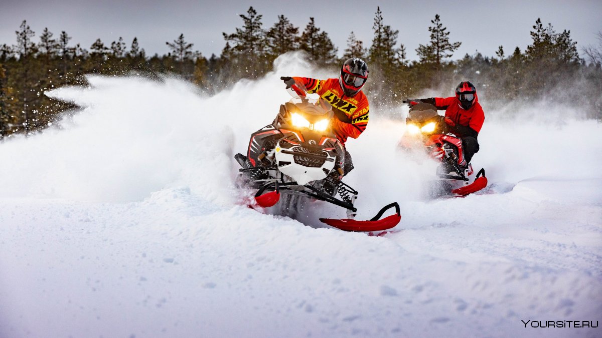Снегоход BRP Lynx Rave re 850 e-Tec