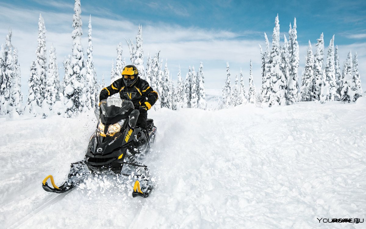 Ski-Doo снегоход в лесу