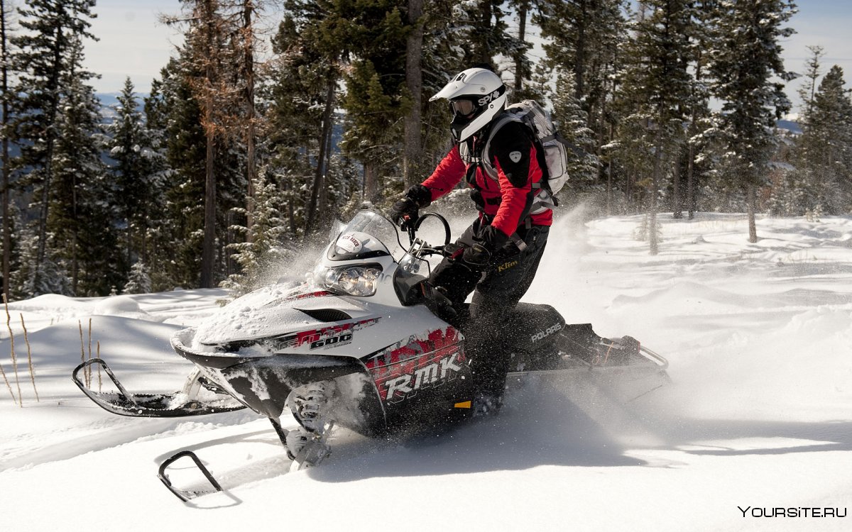 Снегоход Polaris 800 в лесу
