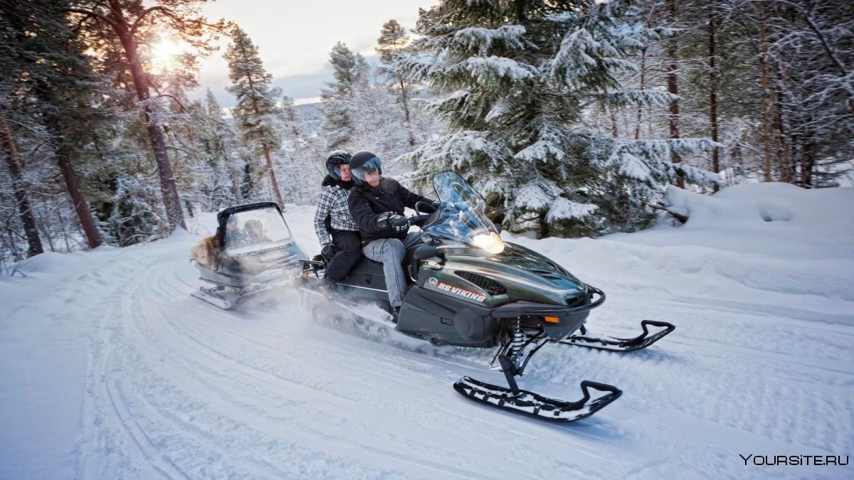 BRP Tundra 550