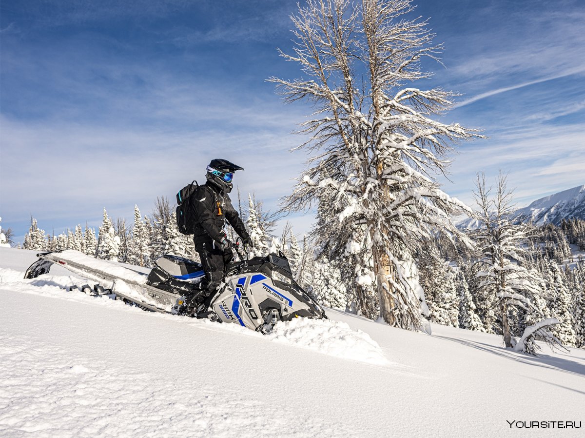 Polaris Pro RMK 850