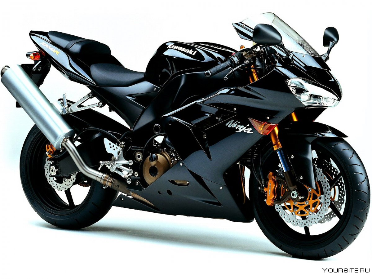 Kawasaki ZX-10 Ninja 2005
