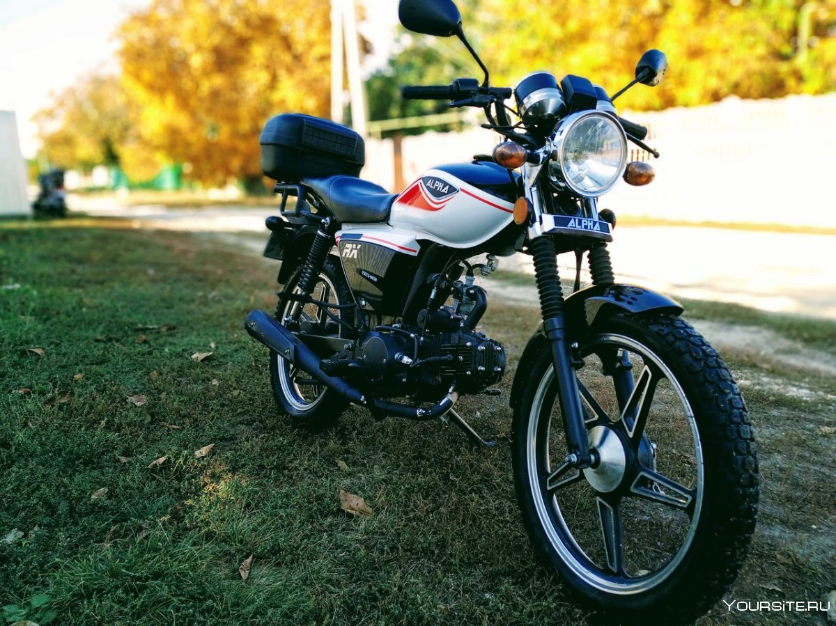 Alpha RX 125