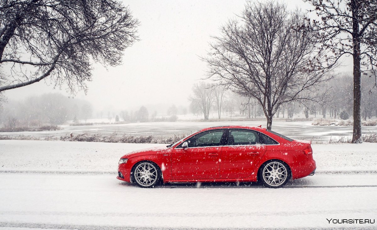 Rally Snow Peugeot