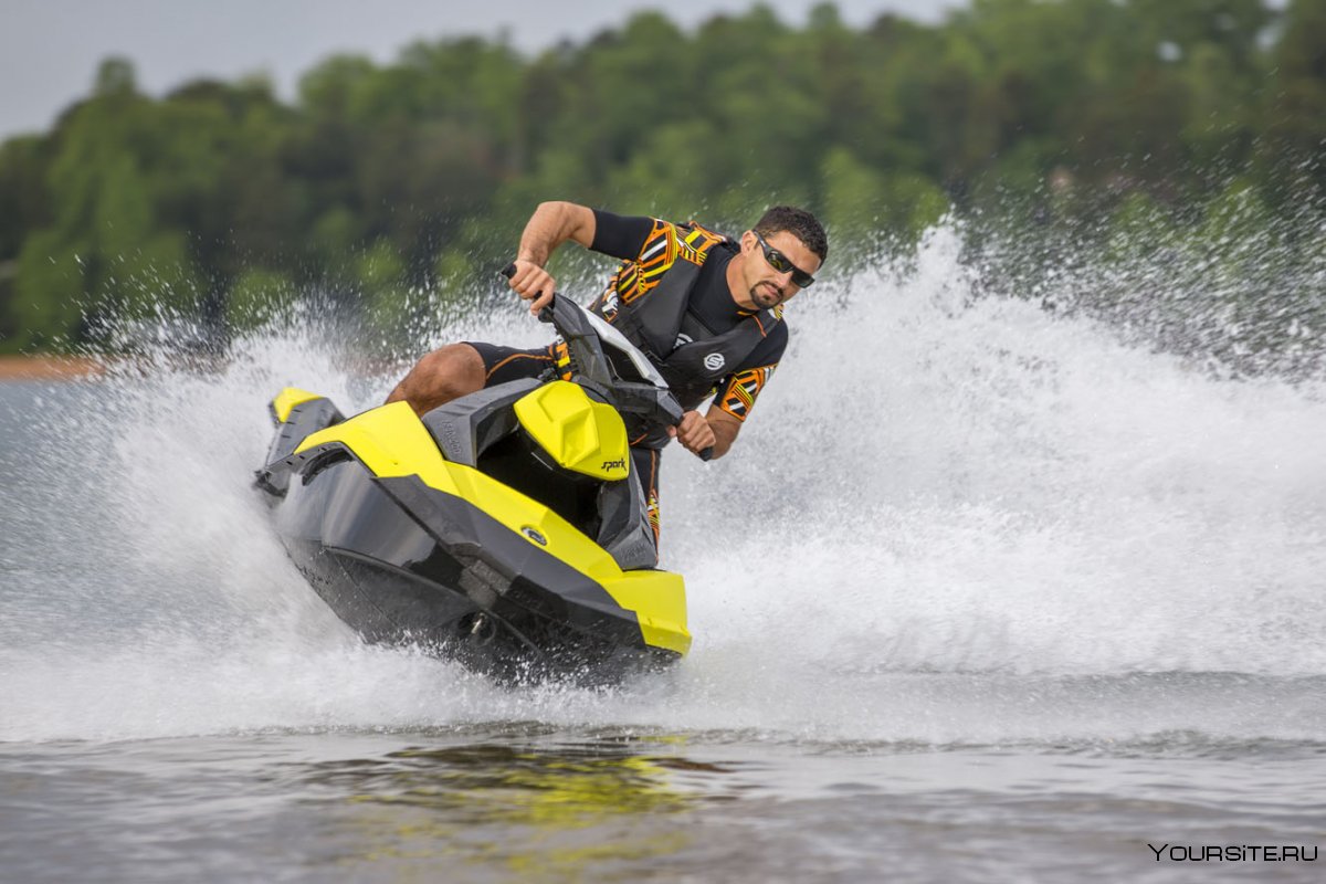 Водная ватрушка Sea-Doo BRP