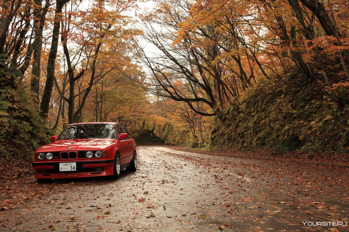 BMW e34 autumn