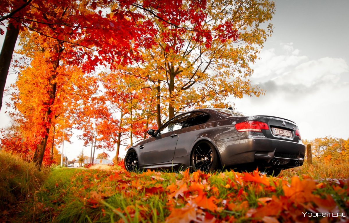 Машина в осенних листьях