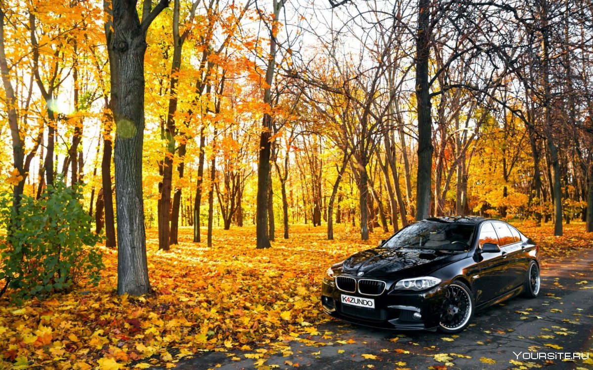 BMW m5 f10 осень