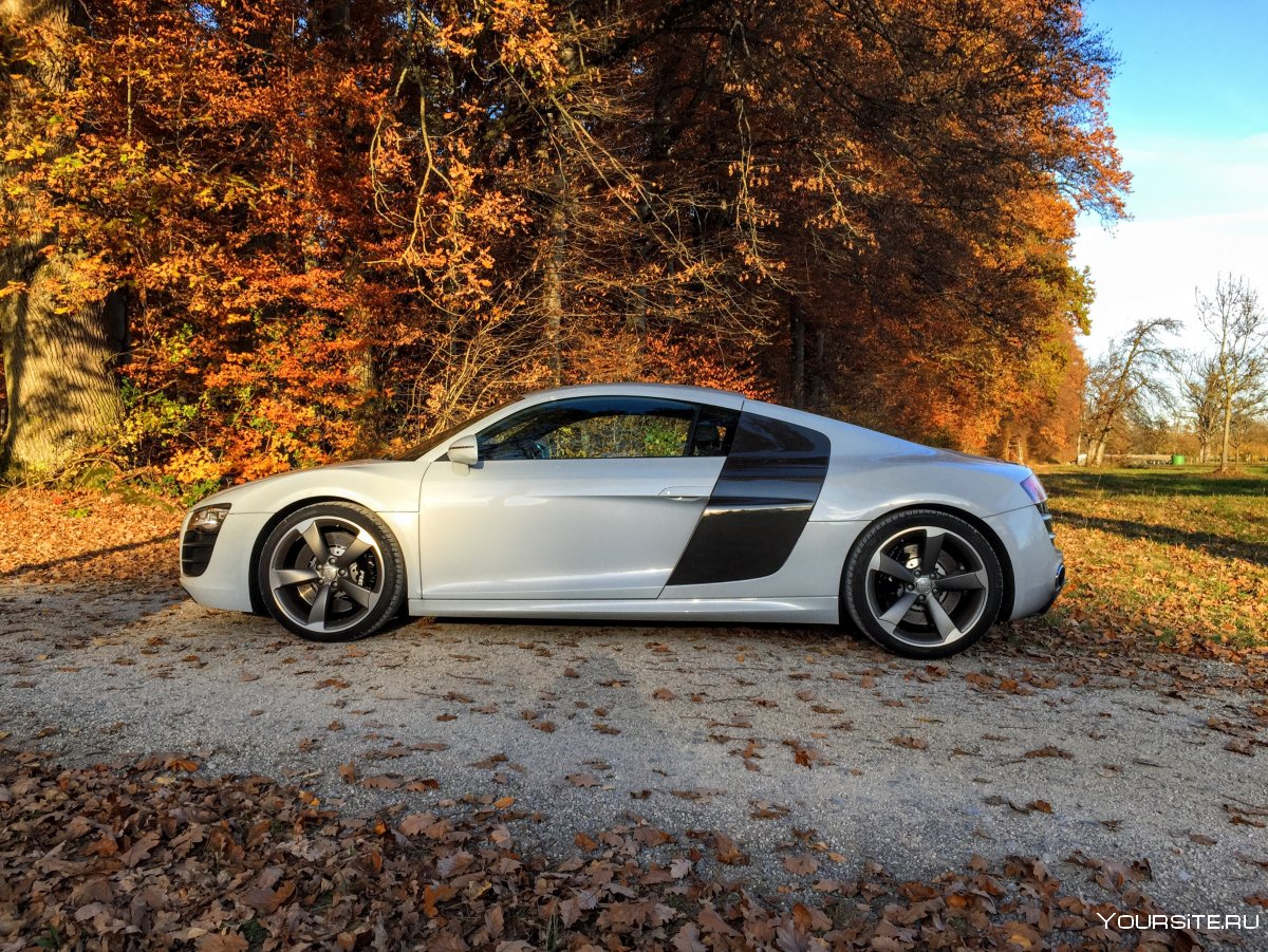 Audi r8 Sport