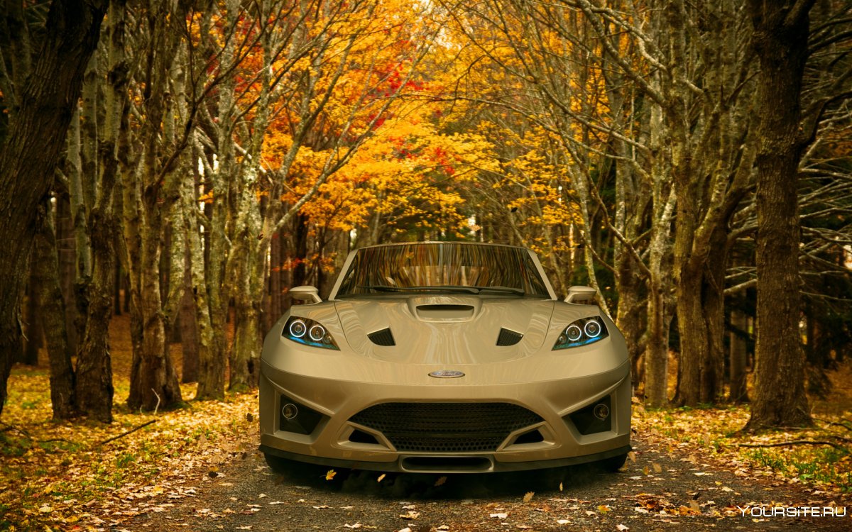 Красивые машины на природе осень