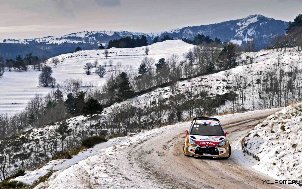 Rally Snow Peugeot