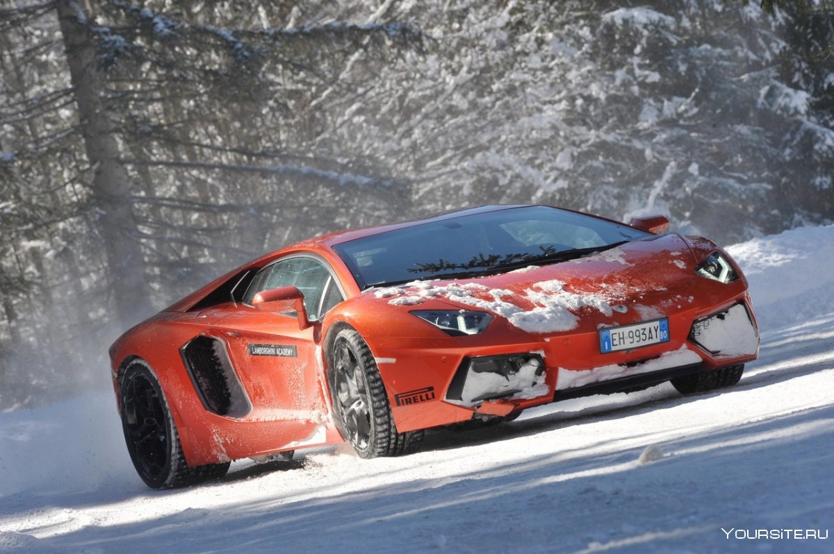 Aventador Lamborghini Winter