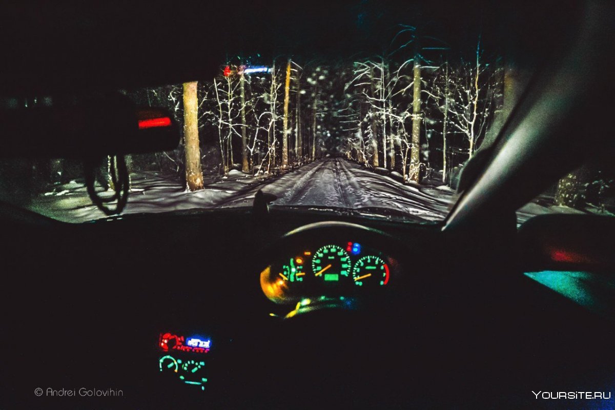 Салон машины ночью в лесу
