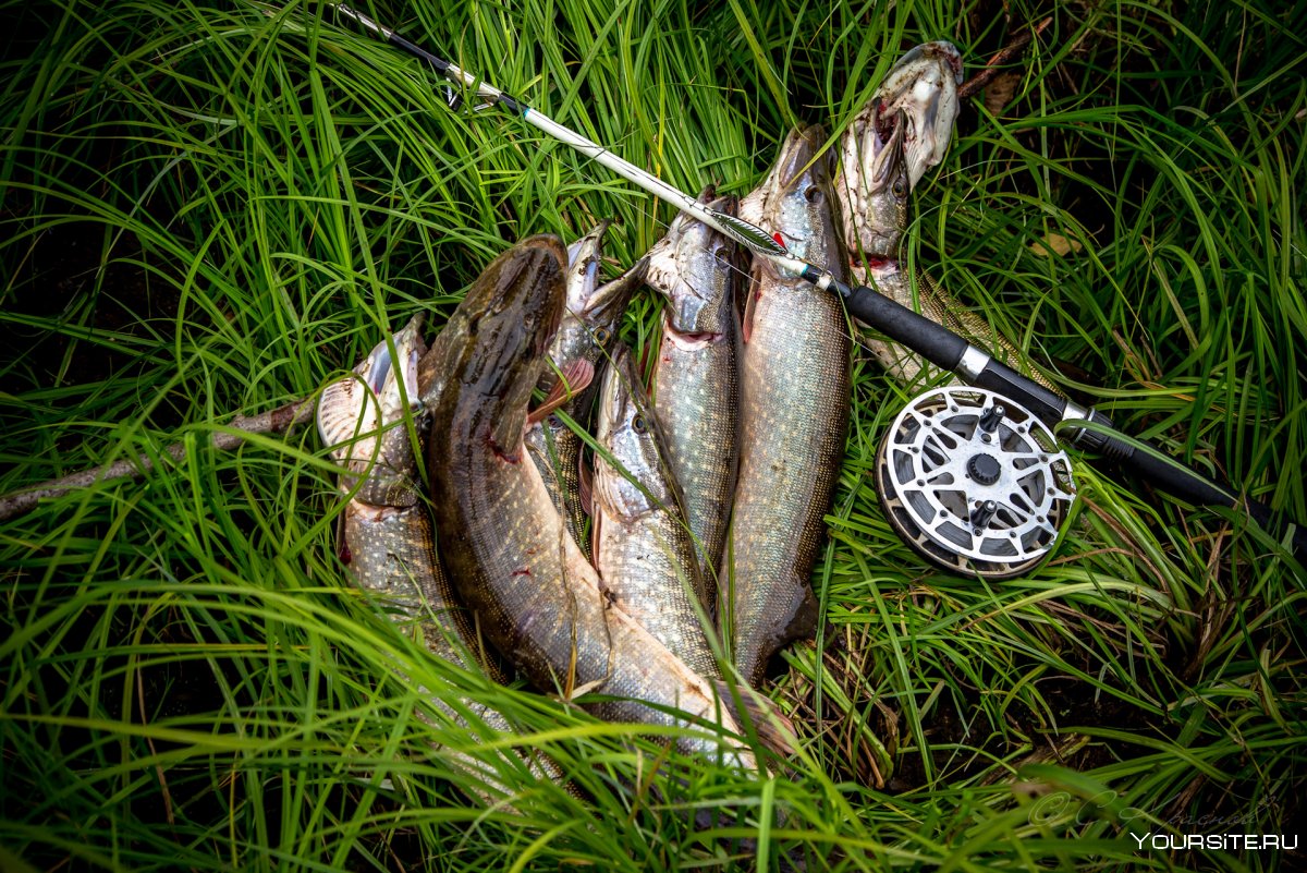 Рыболовно охотничий