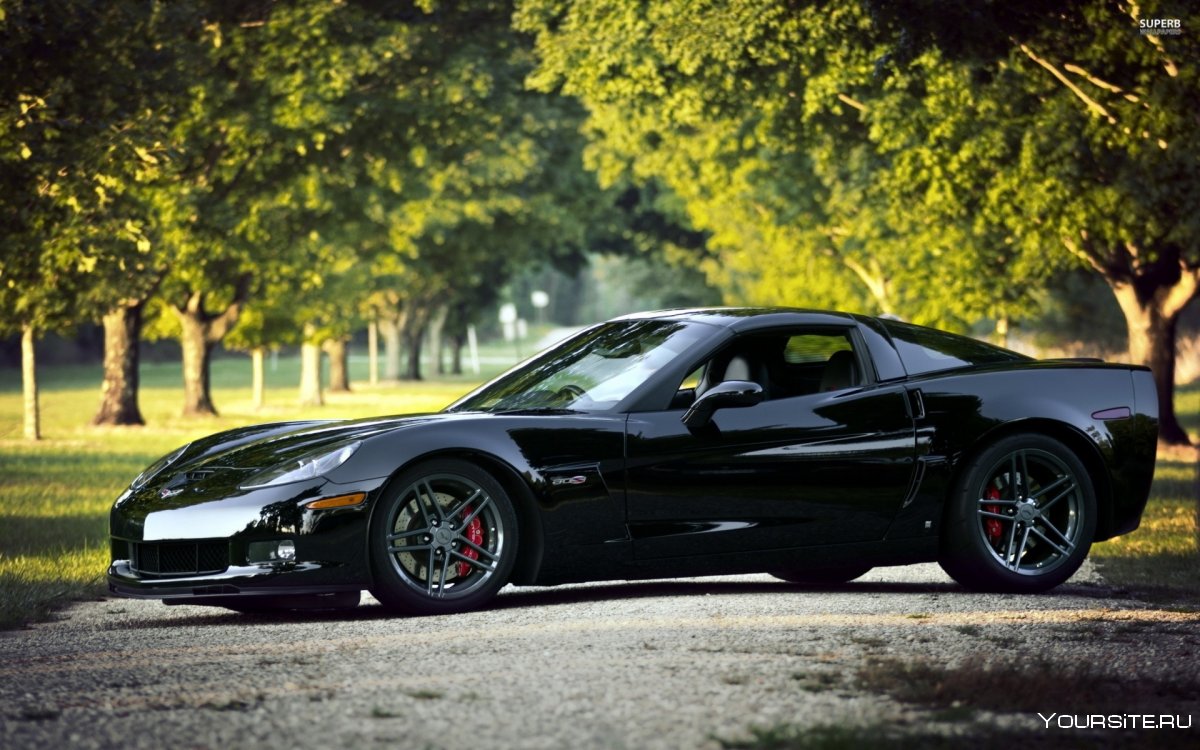 Chevrolet Corvette c6 z06 Black