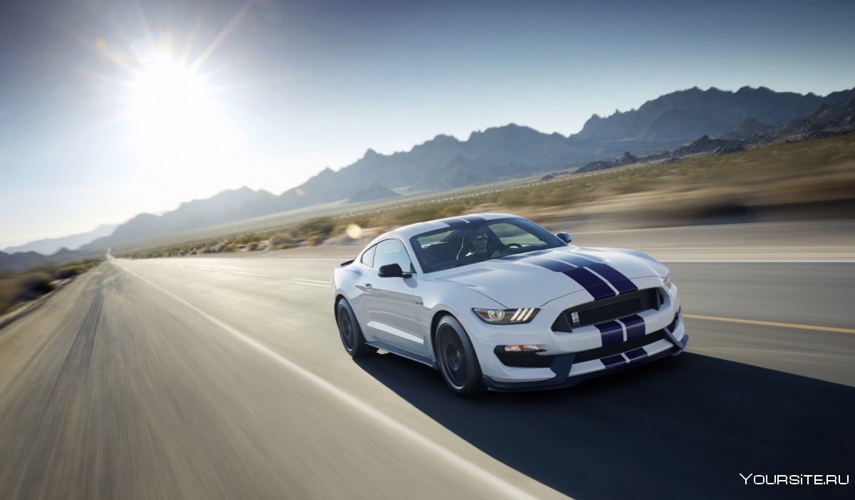 Mustang Shelby gt350