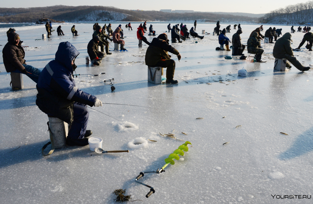 Толпа рыбаков на льду