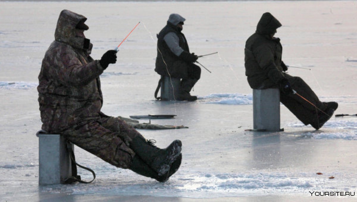 Ловить рыбу на льду