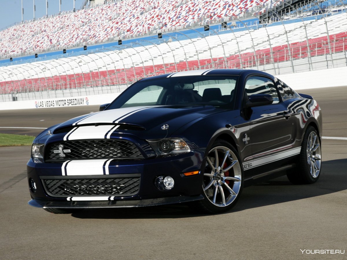 Ford Mustang Shelby gt350 2015
