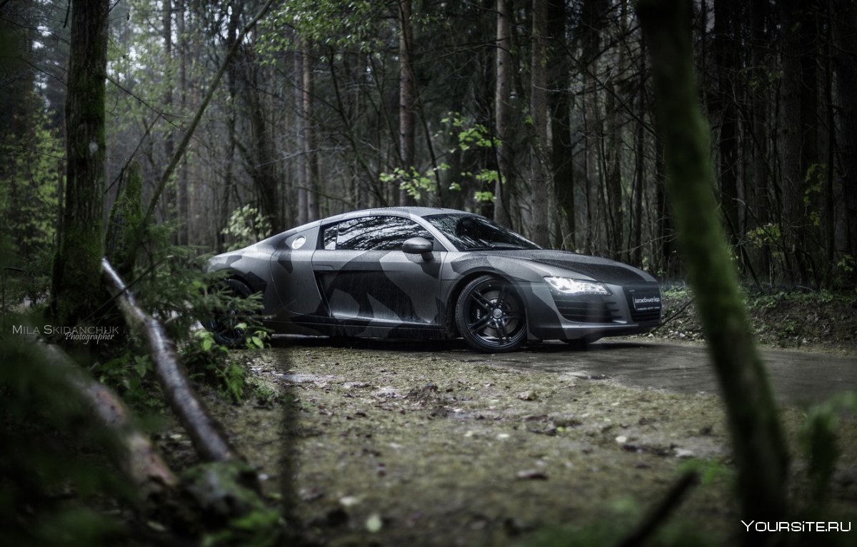 Крутая машина в лесу