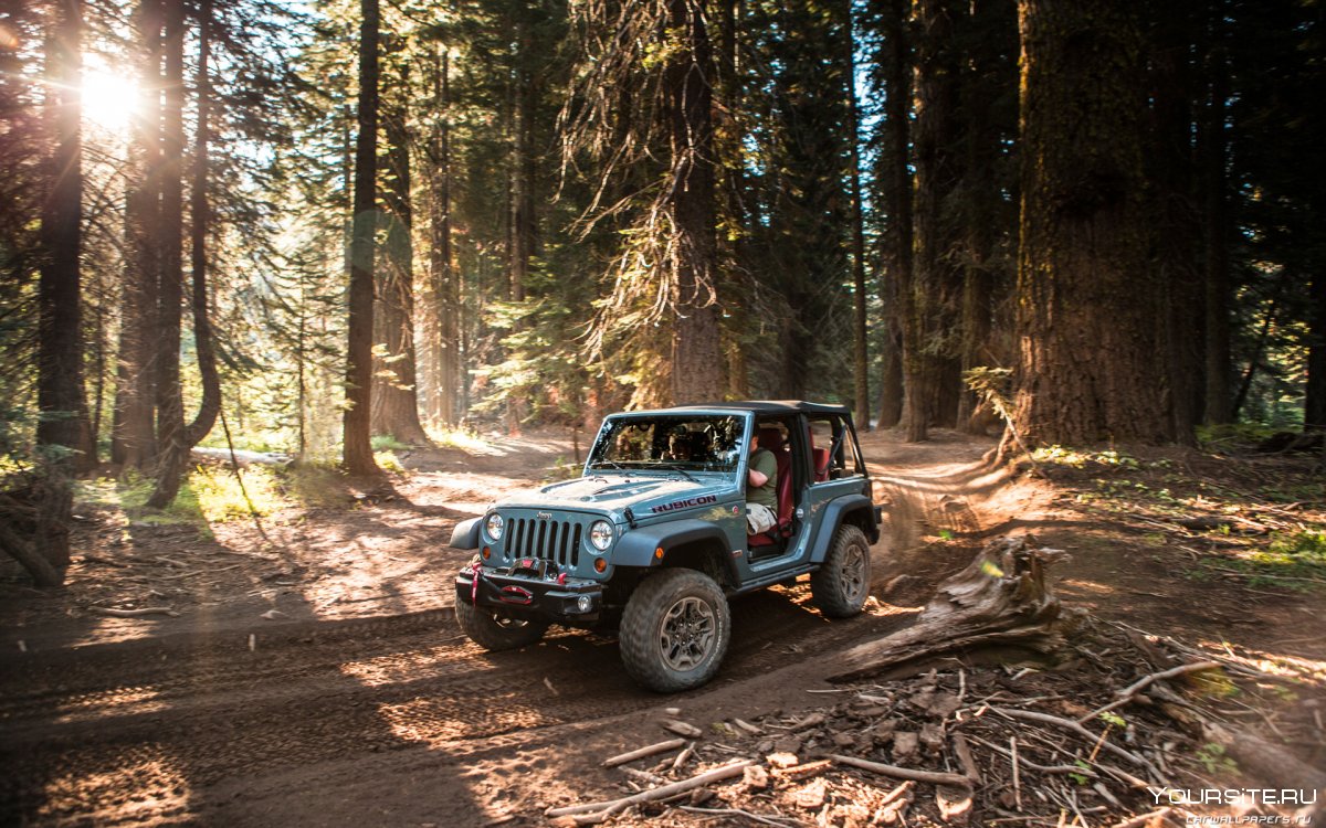 Jeep Wrangler Rubicon 10th Anniversary