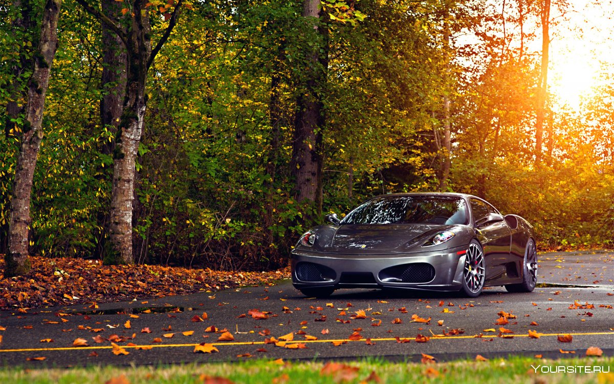 Ferrari 458 осень
