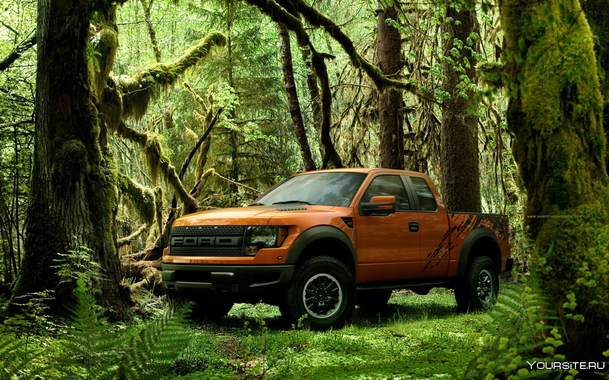 Ford 150 Raptor в лесу
