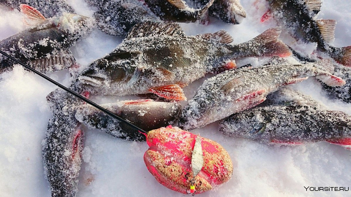 Рыбалка зимой