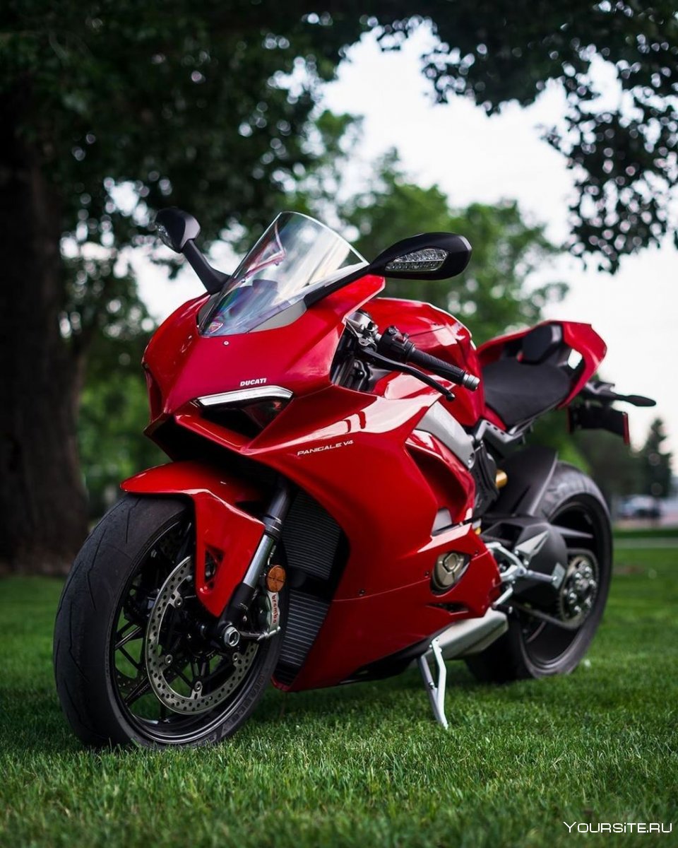 Спортуха мотоцикл Хонда r1