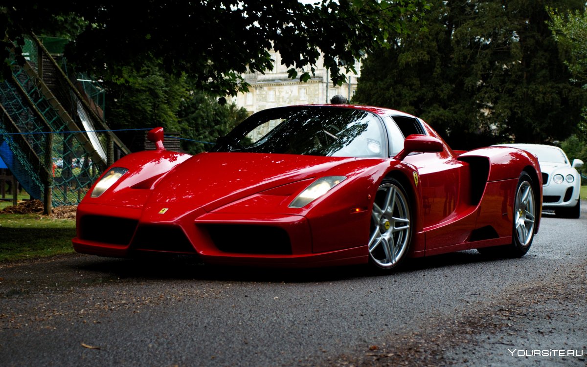 Enzo Ferrari профиль