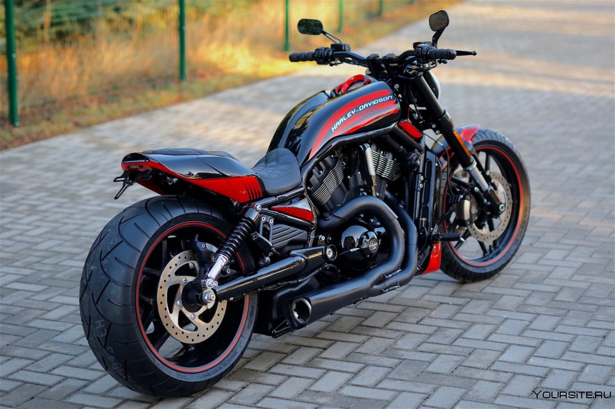 Harley Davidson Night Rod Custom