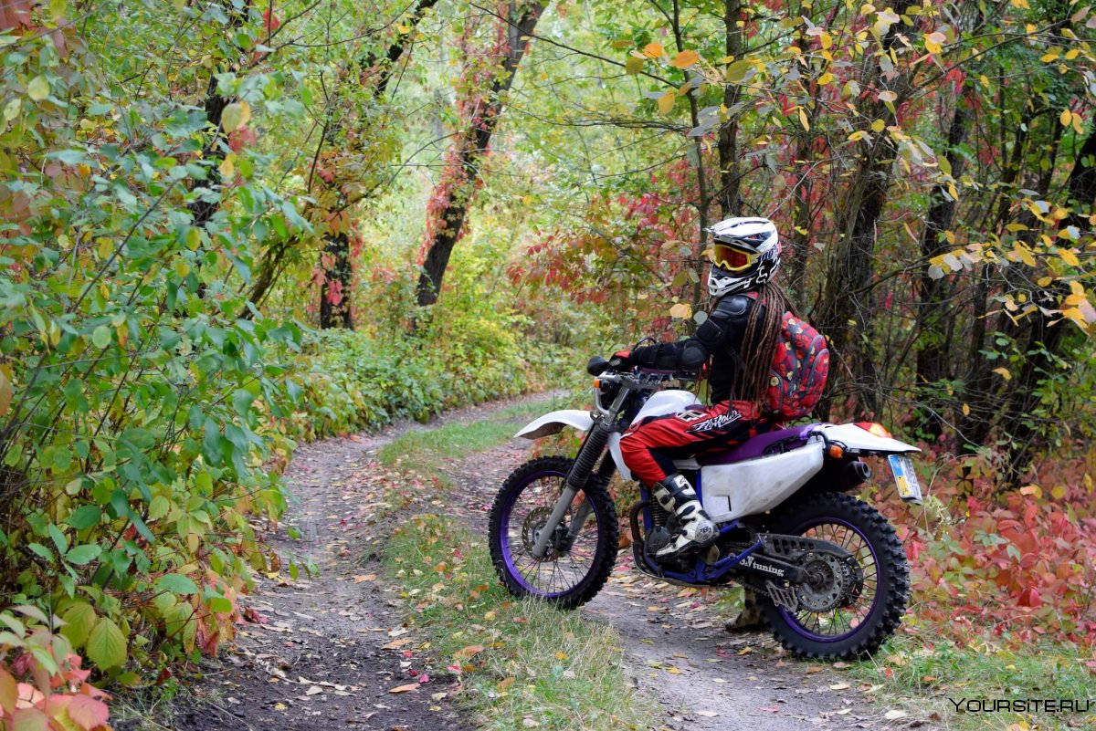 Кроссовый мотоцикл в лесу