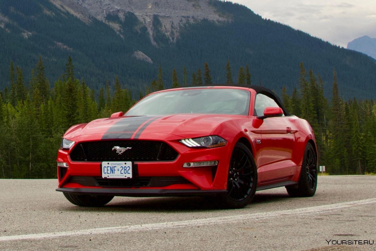 Ford Mustang Cabrio 2020