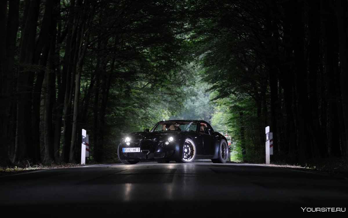 Автомобиль в ночном лесу