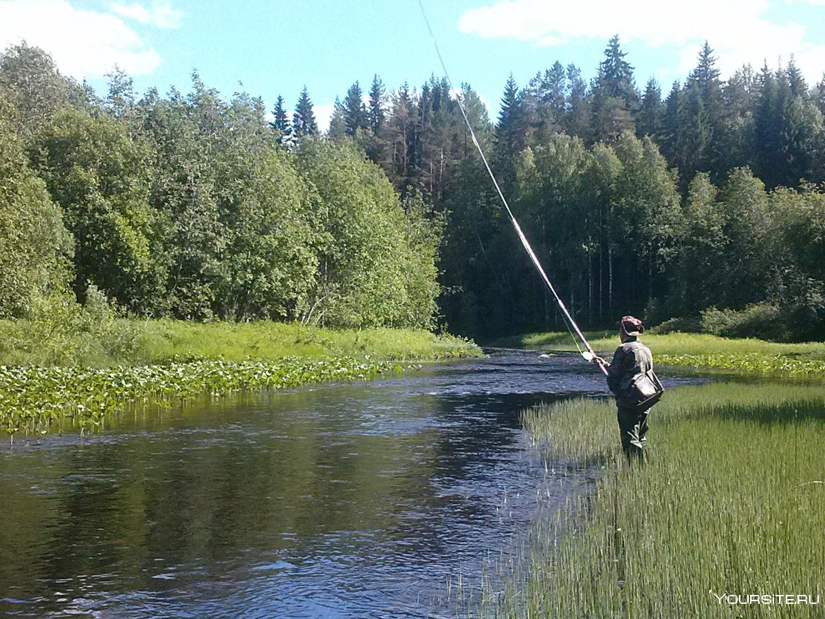 Река Ловать Псковская область рыбалка