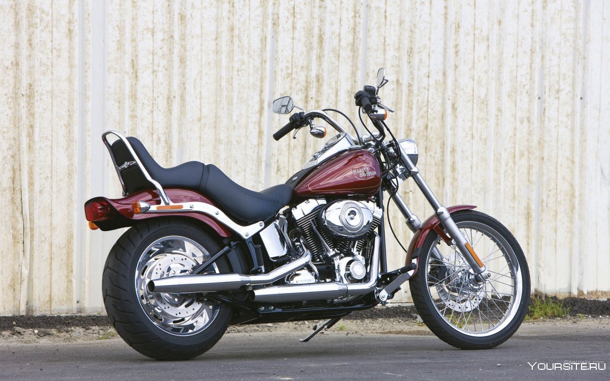 Harley Davidson Softail Custom 2009