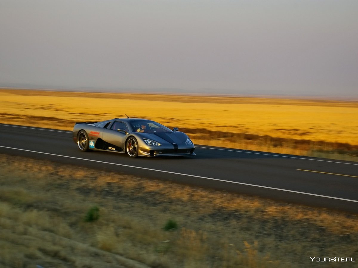 Дорогие машины в пустыне
