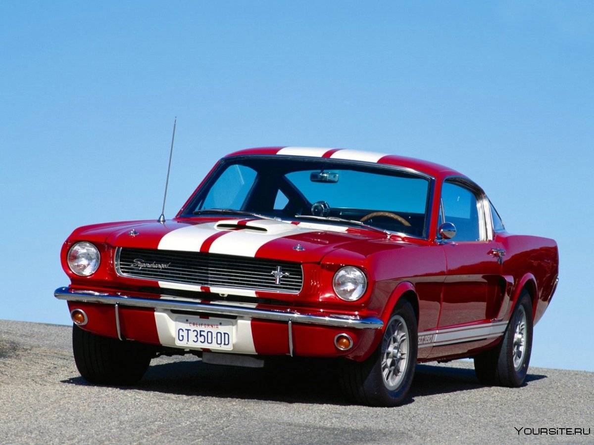 Ford Shelby gt500 1965