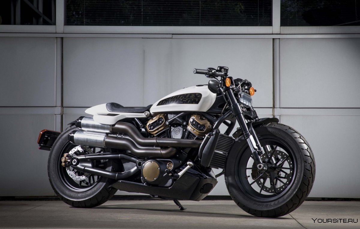 Harley Davidson Sportster s 2021