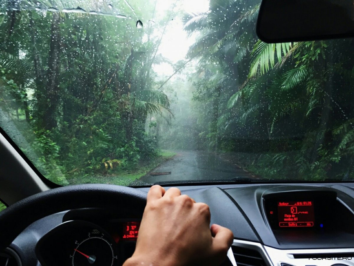 Безопасное вождение в дождь
