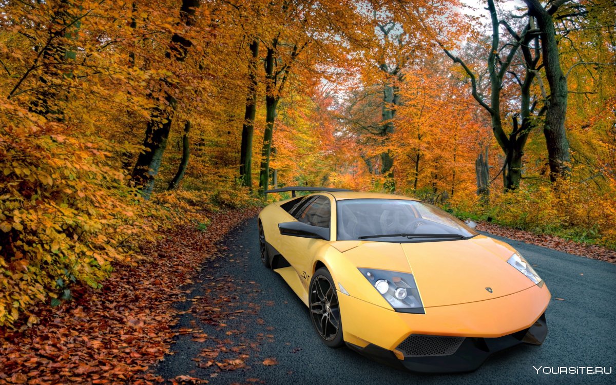 Lamborghini Murcielago