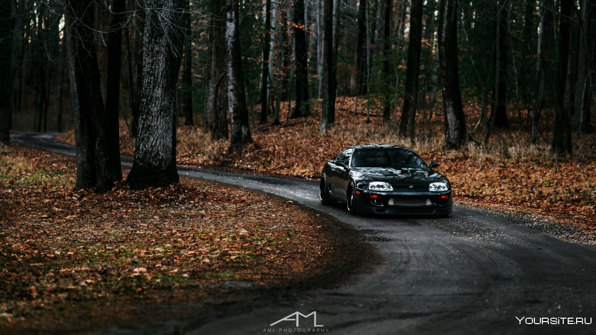 BMW В осеннем лесу