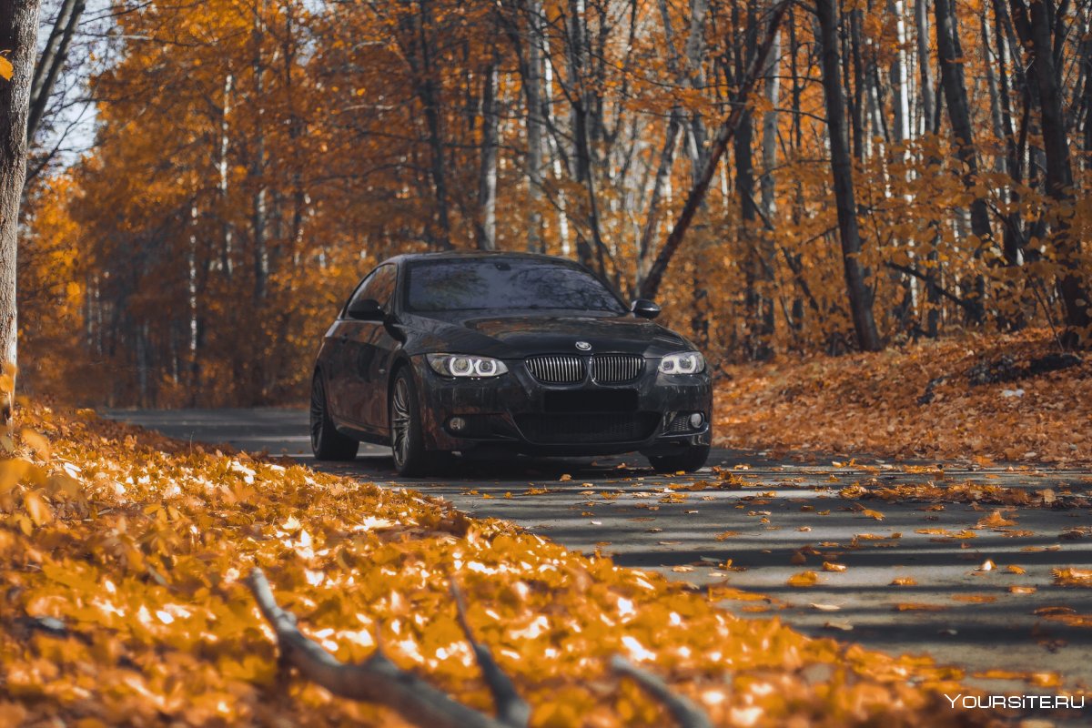 BMW m5 HD осенью