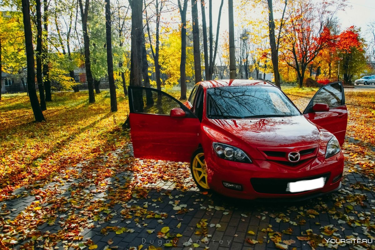 Золотая осень автомобиль