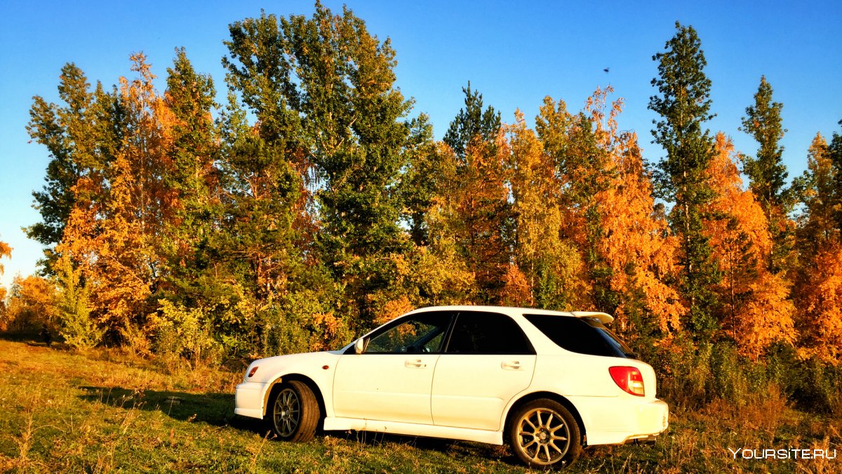 Осень Subaru Impreza 2005